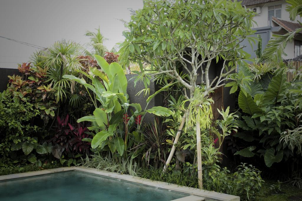 Dugul Ubud חדר תמונה